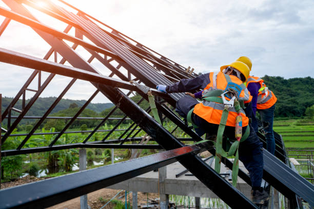 Best Roof Gutter Cleaning  in Holdenville, OK